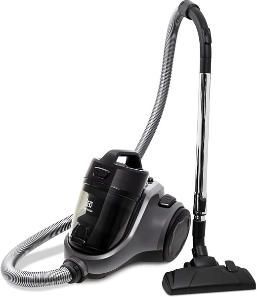 Aspirador Easybox EAS30 Electrolux